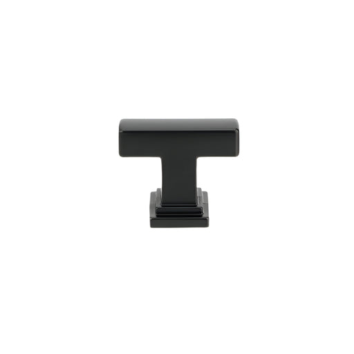 8645 Transitional Metal T-Knob - T-Knob