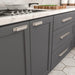 8716 Transitional Metal Cup Pull - Cup Pull