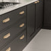 8716 Transitional Metal Cup Pull - Cup Pull